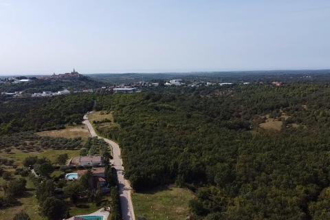 Niet bouwgrond Buje, 126.151m2