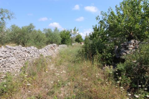 Istra,Vodnjan okolica,građevinsko-poljoprivredna parcela