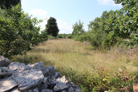 Istra,Vodnjan okolica,građevinsko-poljoprivredna parcela