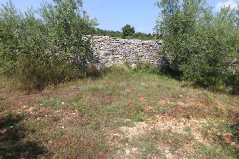 Istra,Vodnjan okolica,građevinsko-poljoprivredna parcela