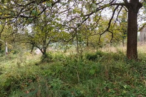 Bauland Tuk, Vrbovsko, 10.906m2