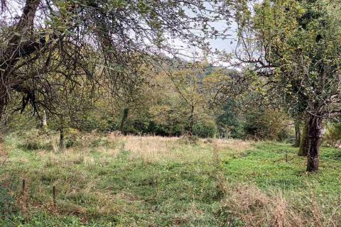 Bauland Tuk, Vrbovsko, 10.906m2