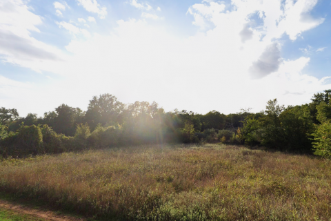 Stavbno zemljišče Funtana, 1.419m2