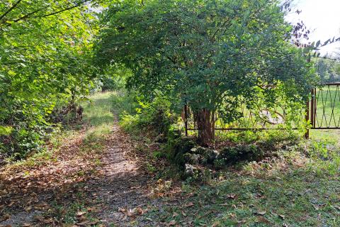 House Veprinac, Opatija - Okolica, 240m2