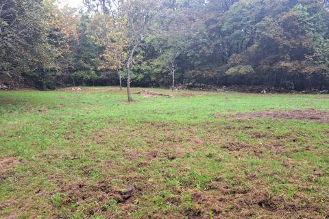 House Veprinac, Opatija - Okolica, 240m2