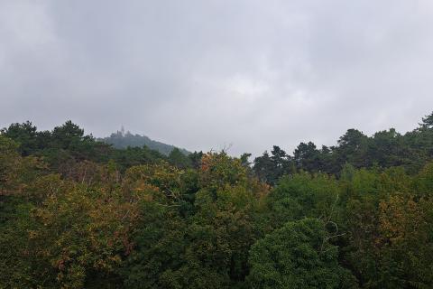 House Veprinac, Opatija - Okolica, 240m2