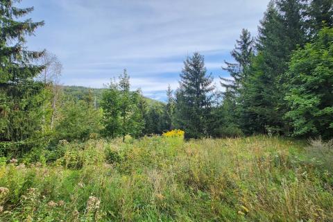 Gorski Kotar, Stara Sušica - manja drvena brvnara sa prostranom okućnicom 