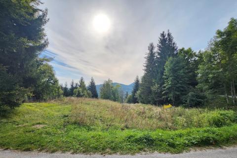 Gorski Kotar, Stara Sušica - manja drvena brvnara sa prostranom okućnicom 