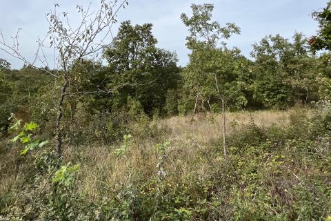 Stavbno zemljišče Jurići, Poreč, 20.165m2