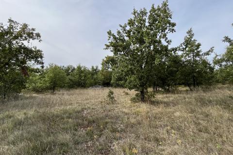 Stavbno zemljišče Jurići, Poreč, 20.165m2