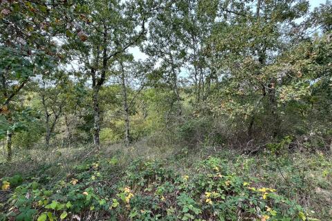 Stavbno zemljišče Jurići, Poreč, 20.165m2