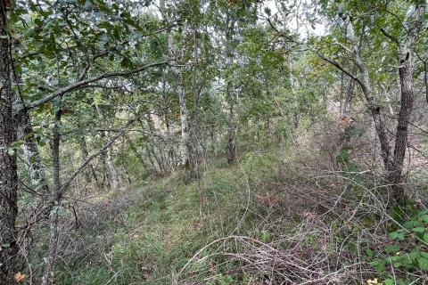 Stavbno zemljišče Jurići, Poreč, 20.165m2