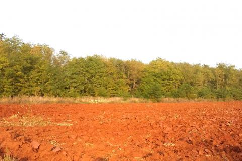 Terreno non edificabile Bašanija, Umag, 2.229m2