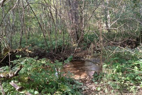 Gorski kotar, Gomirje,poljoprivredno zemljište 2633m2 