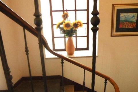 House Roč, Buzet, 200m2