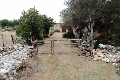 Bauland Mali Lošinj, 10.500m2