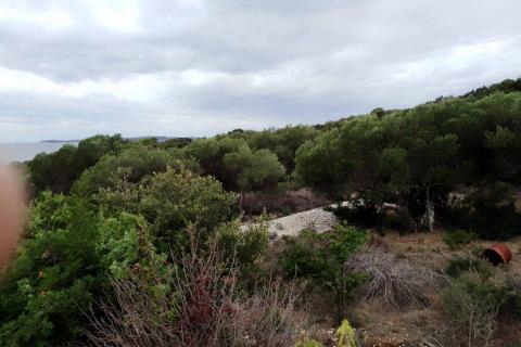 Bauland Mali Lošinj, 10.500m2