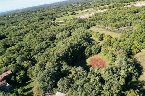 Building plot Orbanići, Žminj, 13.500m2