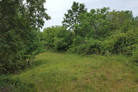 Building plot Orbanići, Žminj, 13.500m2