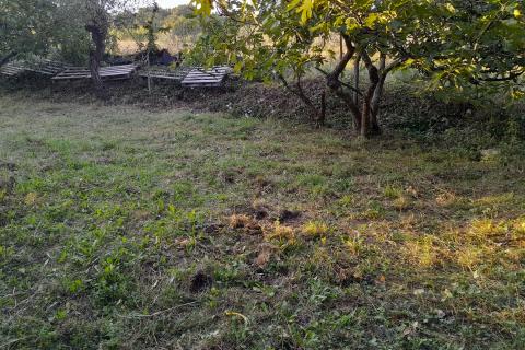 Niet bouwgrond Premantura, Medulin, 664m2