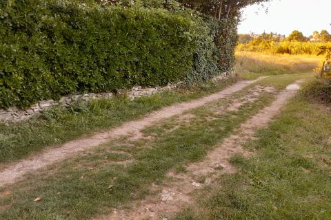 Niet bouwgrond Premantura, Medulin, 664m2