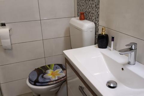 Istra, Žminj stan u centru