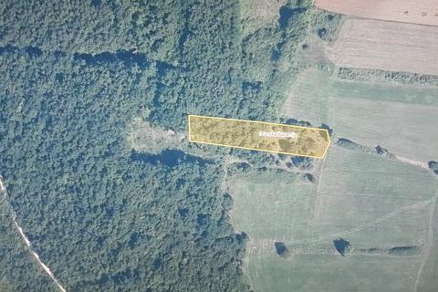 Земельный участок нестроительного назначения Mrgani, Kanfanar, 5.630m2