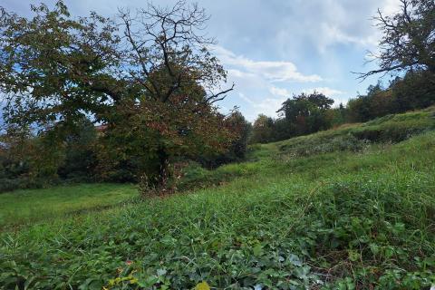 OKOLICA OPATIJE - zemljište s projektom za sedam luksuznih vila