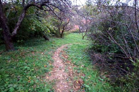 Črnomerec, kuća 233m2, odlična lokacija