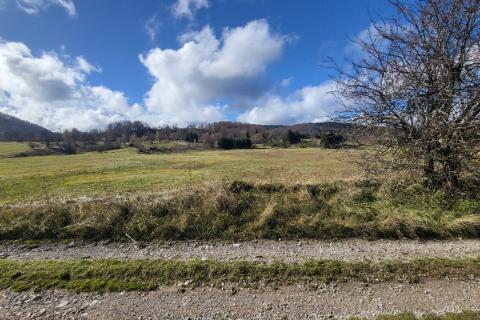 Terreno non edificabile Delnice, 10.560m2