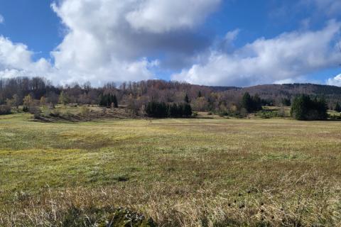 Terreno non edificabile Delnice, 10.560m2