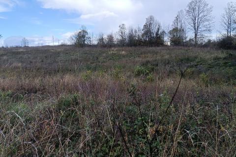 Niet bouwgrond Ogulin, 29.655m2