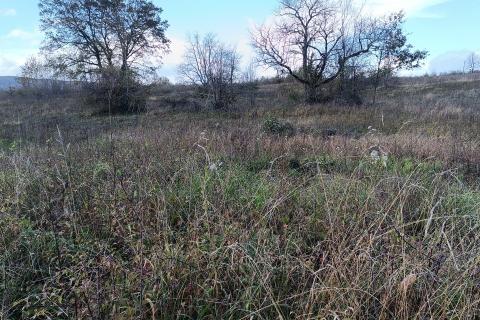 Niet bouwgrond Ogulin, 29.655m2