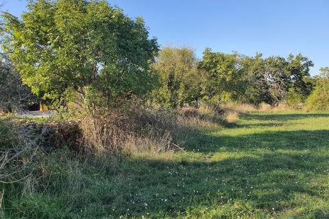 Istra,Marčana-građevinsko zemljište,kombinacija