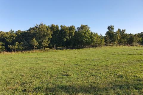 Istra,Marčana-građevinsko zemljište,kombinacija