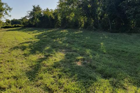 Istra, Peruški, građevinsko-poljoprivredna parcela