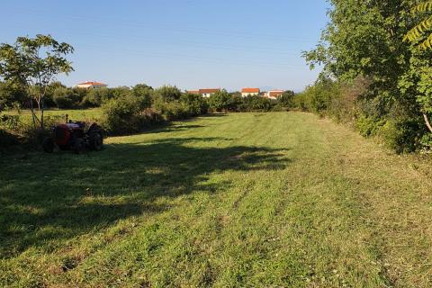 Istra, Peruški, građevinsko-poljoprivredna parcela