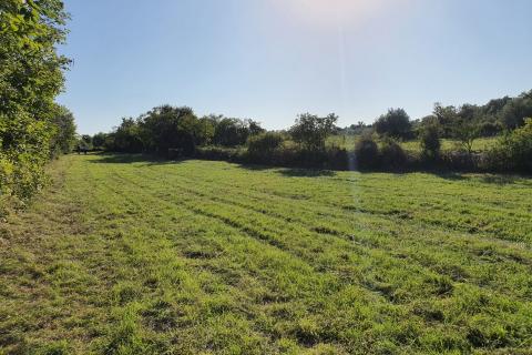 Istra, Peruški, građevinsko-poljoprivredna parcela