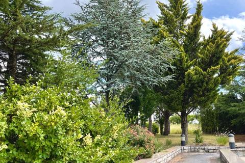 Istra, Pazin-okolica, stan za dugoročni najam s 4 spavaće sobe