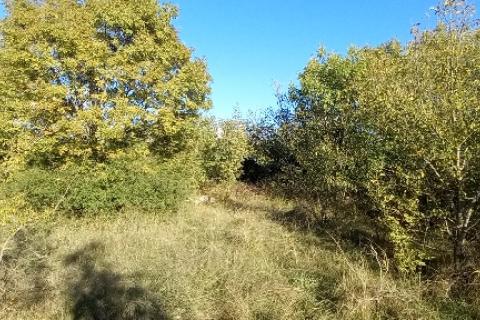 Istra,Kanfanar-građevinsko zemjlište gospodarske namjene