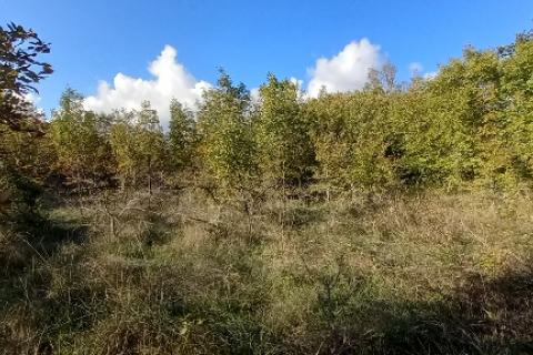 Istra,Kanfanar-građevinsko zemjlište gospodarske namjene