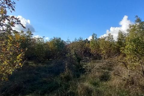 Istra,Kanfanar-građevinsko zemjlište gospodarske namjene