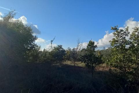 Istra,Kanfanar-građevinsko zemjlište gospodarske namjene