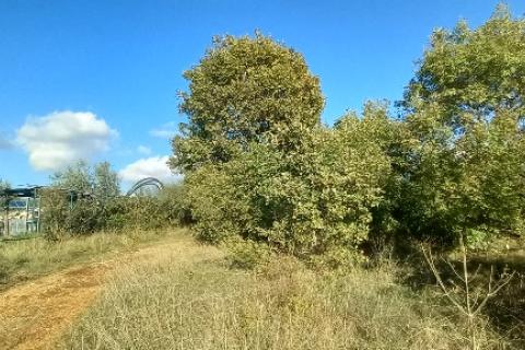 Istra,Kanfanar-građevinsko zemjlište gospodarske namjene