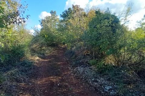 Istra,Kanfanar-građevinsko zemjlište gospodarske namjene