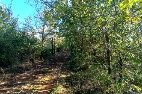 Istra,Kanfanar-građevinsko zemjlište gospodarske namjene