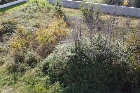 Building plot Vabriga, Tar-Vabriga, 950m2