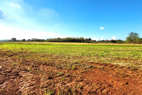 Istra, Umag okolica, negrađevinsko zemljište