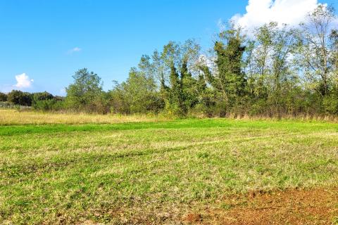 Istra, Umag okolica, negrađevinsko zemljište