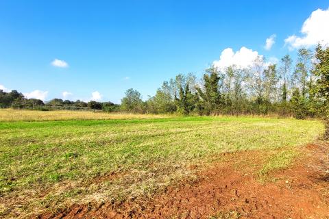Istra, Umag okolica, negrađevinsko zemljište